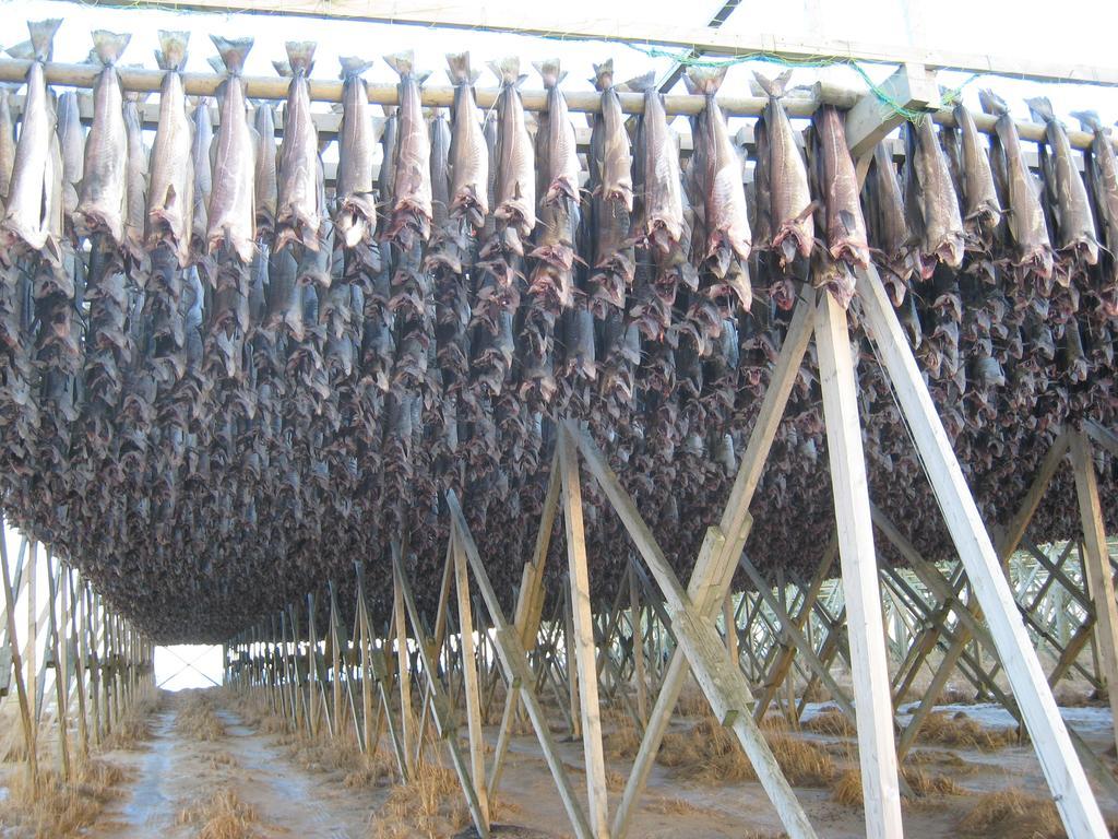 Frugga Feriehus og leilighet Straumsjoen Eksteriør bilde